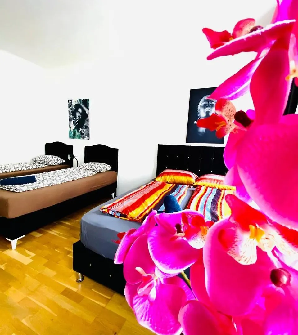 Deluxe Studio In Josefstaedter Strasse Area Διαμέρισμα Βιέννη 0*,